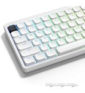 Amazon.co.jp: キーキャップ Womier 141キー ロープロファイル キー