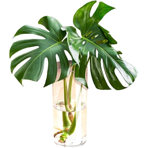Vase transparent décoration d'intérieur en acrylique multi-usage de 35cm - 6