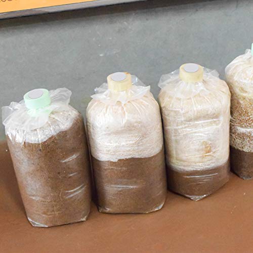 Image of Zonon 256 Pieces Synthetic Filter Paper Stickers 20 mm 0.3 mm Synthetic Filter Disc Tape Mushroom Applied Under Mason Jar for Mushroom Cultivation