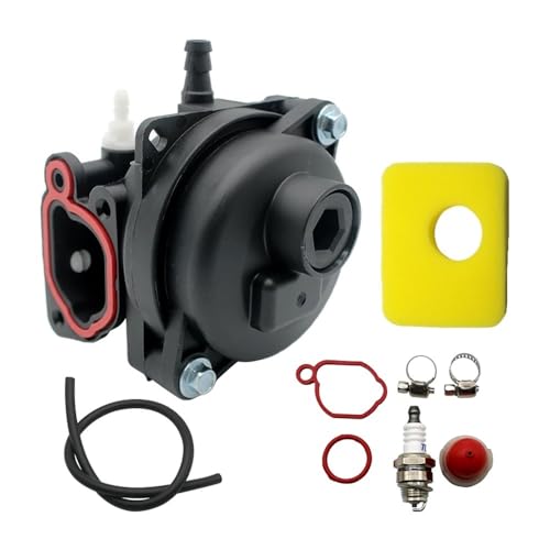 Carburateur moteur 125cc compatible 591979 remplace pièce usée 450E