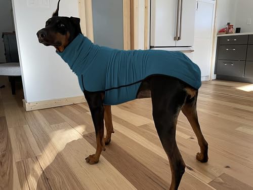 Imily Bela Hundepullover Fleece Rollkragen Hundemantel Warmer Weste Pullover Outdoor Hundejacke Winterkleidung für Kleine Mittel Große Hunde,Seeblau,M