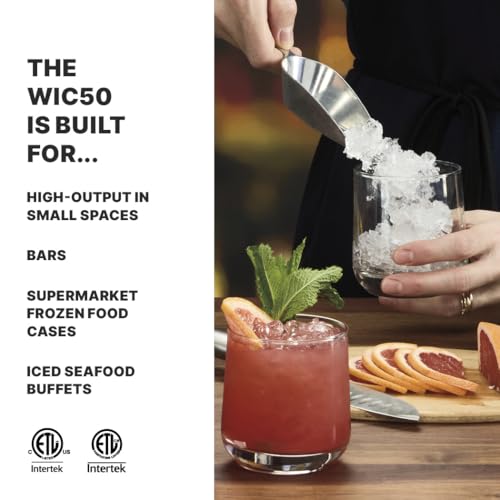 Image of Waring Commercial Ice Crusher Machine, 600 lb /hr Heavy-Duty Ice Crusher for Bars, Restaurants, Cocktails & Seafood Displays, Stainless Steel, WIC50