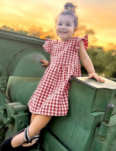 AGQT Baby Girls Plaid Dress Flutter Sleeve Gingham Spring Summer Dresses Size 6M-8T3