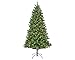 Produktbild Everlands künstlicher Weihnachtsbaum KenmoreFir 180 cm  beleuchtet mit 350 warmweißen LEDs, 8 Lichtfunktionen, Timer, naturgetreue PVC & PE Nadeln, Stabiler Metallfuß, IP44 für innen & außen