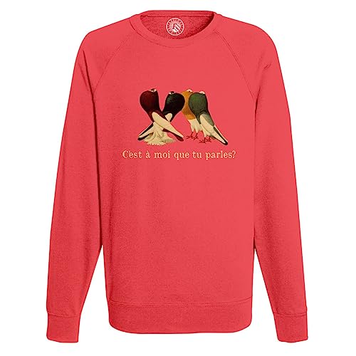 Sweat Pigeons Homme Vintage pour un Look Urbain Décontracté et Humour Décalé en Ville