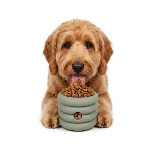 Should We Go? The Ripple Cup Silicone Dog Enrichment Toy & Slow Feeder, Treat Dispensing Cup - Food-Safe Meal Feeder, Frozen Treat Dog Toy with Freezer Plug, 10 oz Capacity, for Medium Dogs