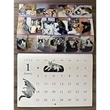 2026年度 保護猫チャリティーカレンダー