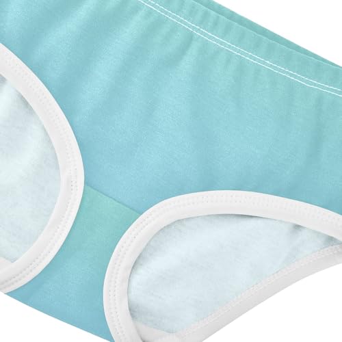 Joisal Cotton Toddler Underwear Floral Green Blue Sky Gradient Panties for Girl Cartoon Briefs Kids Undies 2t4