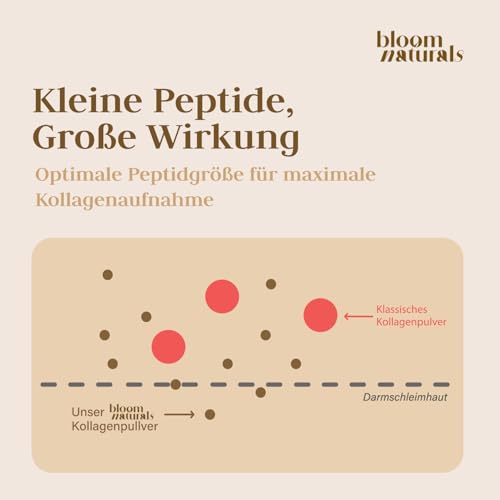 Grasgefüttertes Collagen Pulver – 1 kg (1000g) Peptide Typ 1 & 3 – Ansicht 3