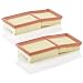 Mann-Filter 2861-2 Air Filter (Set of 2)