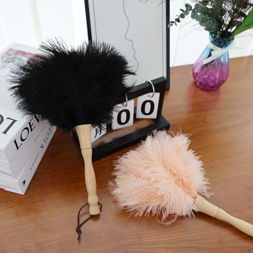 Image of Ostrich Feather Duster 12 Inch Handheld Duster Supplies, Wooden Handle Feather Duster for Cleaning Keyboard Home Car Office (Champagne 10Pcs)