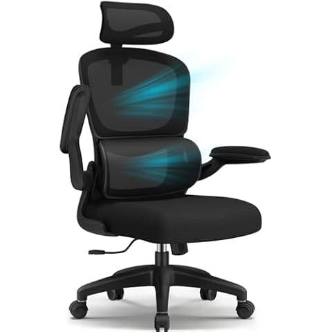 Chaise de Bureau Ergonomique Aiidoits Cover