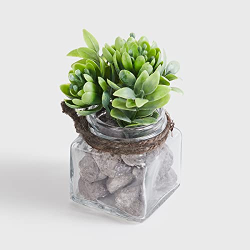 Image of Home Centre Corsica Eden Green Artificial Succulent Flower Arrangement in Glass Jar