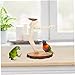 TOYANDONA 1pc Bird Perch Playstand for Parrots and Birds Interactive Table Toy Promotes Exercise Coordination Essential Pet Supplies