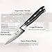 Dnifo Paring Knife, Fruit Peeling Knife Japanese VG10 Damascus Steel 67 Layer Razor-Sharp-3.5 Inch Kitchen Knife Stainless Steel Small Sharp Knife with High-Density Fiber Handle for Kitchen Cutting