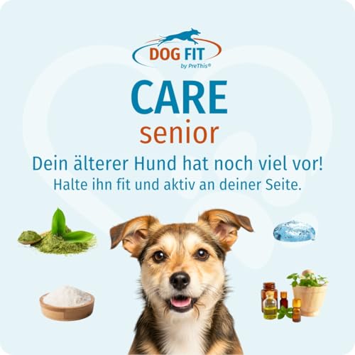 DOG FIT by PreThis® Care Senior für ältere Hunde I Für Vitalität, Wohlbefinden und die Unterstützung der normalen Gelenkfunktion. Mit essenziellen Nährstoffen, ohne Zusätze I small bis 10 kg