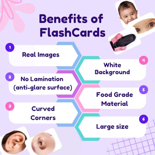 Image of Hungry Brain Small Alphabet Flash Cards for Kids Early Learning | A5 Size Flash Cards | 26 Cards | Fun Learning for Kids | Age 3 Months | Early Childhood Education