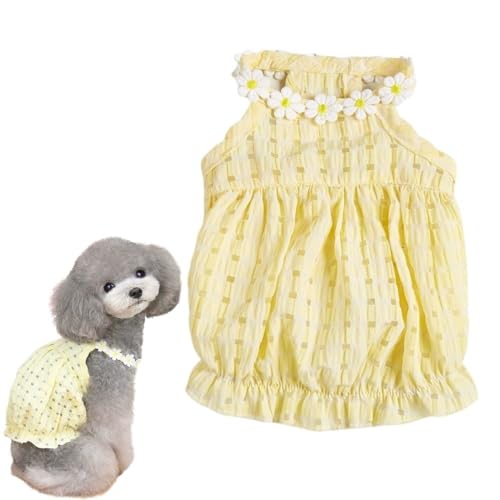 CG[hbOhX ? ʋĈẴybgߑALk̂EGXg&Ԃ̃fUCA^A^A^p̂킢ƔL̕(CG[AXXL)