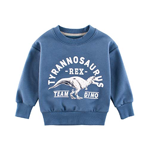 Toddler Baby Boys Knit Sweater Cartoon Animal Dinosaur Pullover Cotton Sweatshirt (Blue, 3-4Years)