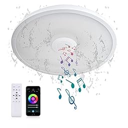 ASALL Smart Waterproof LED Ceiling Light Fixture photo