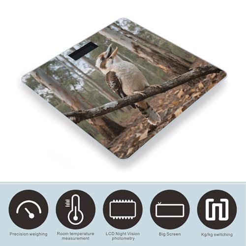 Báscula de baño digital con pantalla LCD 400 lb miniatura 3