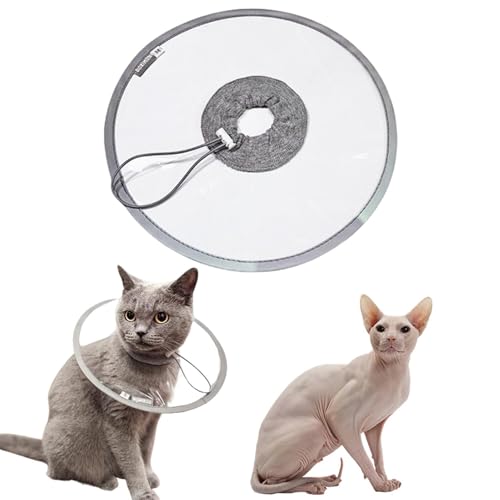 LifetipsXtBNXL XtBNXLp GUxXJ[ h \tg y pPA ی Ȃߖh~ p EȒP 􂦂 PAJ[(NAj(Lj