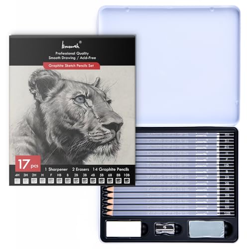 Brusarth Professional Sketch Pencils for Drawing Set - Graphite Pencils (4H-10B) Graphite Sticks Erasers and Sharpener Art Pencils for Sketching- Ideal for Artists and Beginners 17Pcs