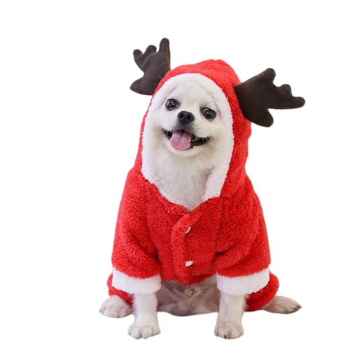 ybg ybgEFA NX}XL   ̕ giJC T^ nEB t[ht  RX`[ RXv _炩 g 킢 h m ^ ^ H ~ t (bh, M)