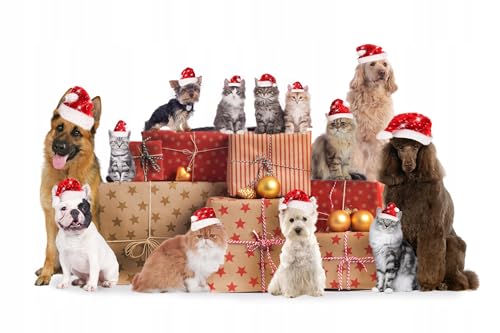 Juguete mordible suave ZippyPaws con chirriador diseño Santa miniatura 6