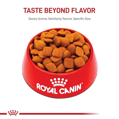 ROYAL CANIN Breed Health Nutrition Golden Retriever Adult Dry Dog Food, 17-Pound by Royal Canin
