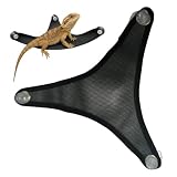 Générique Bearded Dragon Bed - Gecko Hammock,Breathable Mesh Suction Cup...