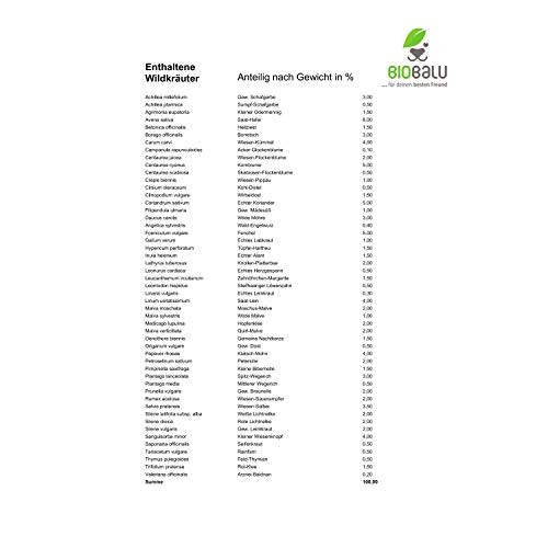 Biobalu Wilde Apotheke - 50 traditionelle Heilkräuter Samen - Bienenfreundliche Wildblumenwiese, Wildkräuter Samen mehrjährig & regional, Arzneipflanzen Saatgutmischung 30 g
