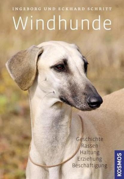 Windhunde: Geschichte, Rassen, Haltung, Erziehung, Beschäftigung