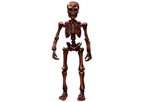 ポーズスケルトン ヒト 03 オオキイヒト ヒトカラーシリーズ ウッド