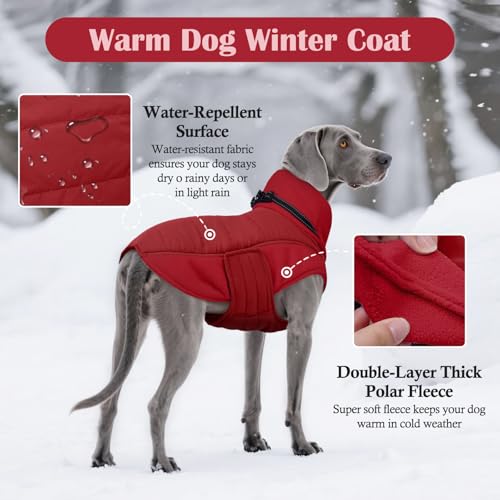 Abrigo para perro labrador en clima frío con arnés integrado 4