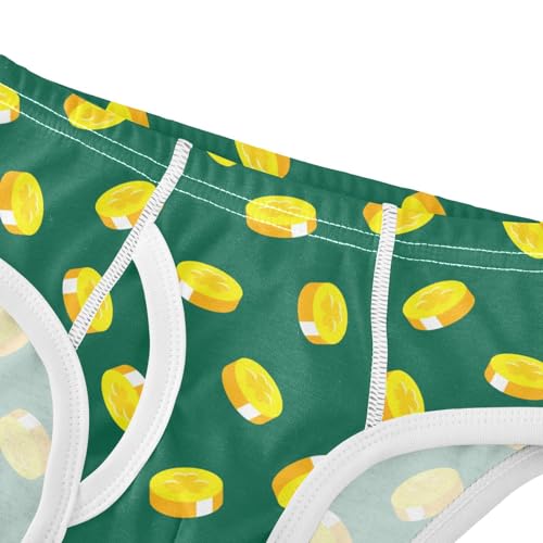 Boys' Underwear Cotton Little Boys St.patrick's Day Golden Coins Briefs Soft Toddler Underwear 2T-8Y4