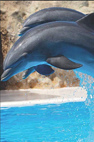 Dolphin Journal: Lined Notebook: Journal or Diary. 6 x 9 inches (15.24 x 22.86 cm) Journal Diary. 150 pages