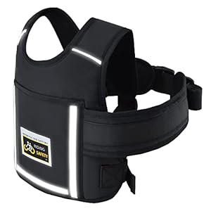 Jolik Kinder-Motorrad-Sicherheitsgurt Upgrade