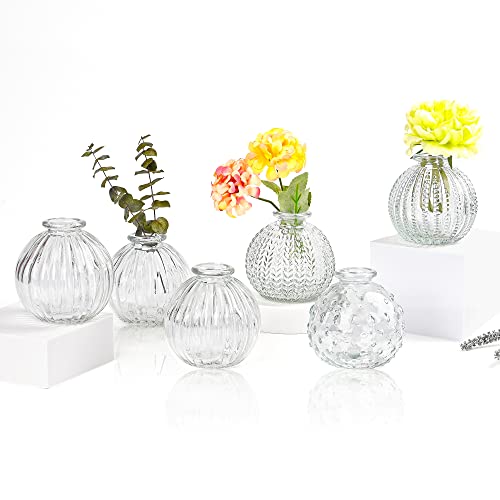 Bud Vase Glass Esmiome - Small Vases for Flowers 6pcs/Set Clear Pumpkin Shapes, Vintage Wedding Decor, Bud Vases in Bulk Vases for Centerpieces Small Glass Single Flower Vases for HomeEvents Table