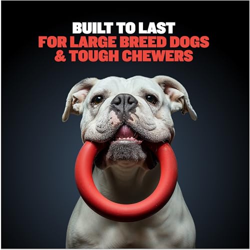 Bully-Max-Chew-Ring-Toy-Long-Lasting-Dog-Chew-Toy-for-Power-Chewers-Big-Dogs-Pit-Bulls-Improves-Mental-Health-Keeps-Dogs-Busy-for-Hours