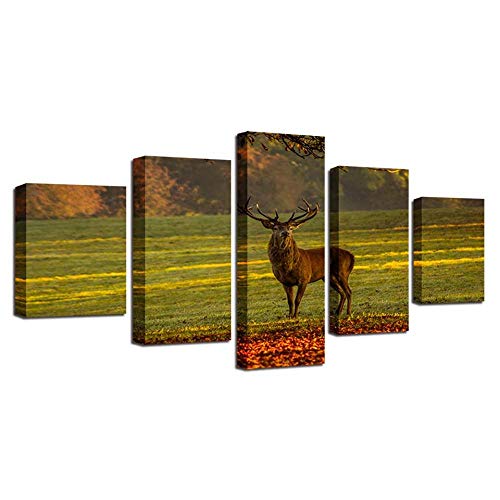 Impression sur toile Elk on the prairie pour un salon moderne et chaleureux
