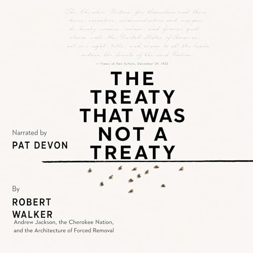『The Treaty That Was Not a Treaty』のカバーアート