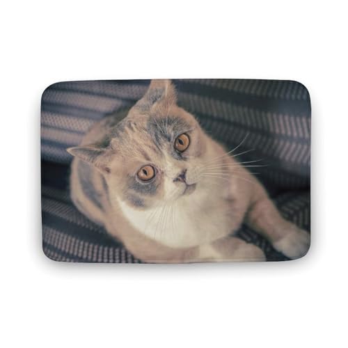 L   oX}bg \tg􂦂 z  փ}bg  O    ~ Aj LN^[ @}bg   ʏ