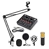 Condensor Microphone Bundle, Studio Microfoon, Met Effecten En Voice-Wisselaar, Verstelbare MIC-Suspensie-Schaararm…