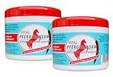 Luxtor Pferdebalsam Pferdesalbe Wärmegel Chili-Extrakt (500 ml (2er Pack))