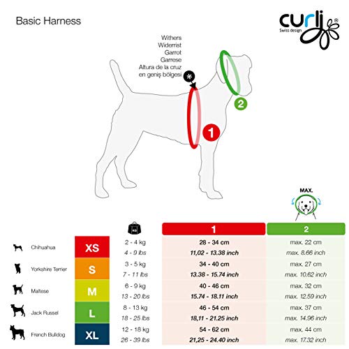 Basic Harness Air-Mesh Pink XS