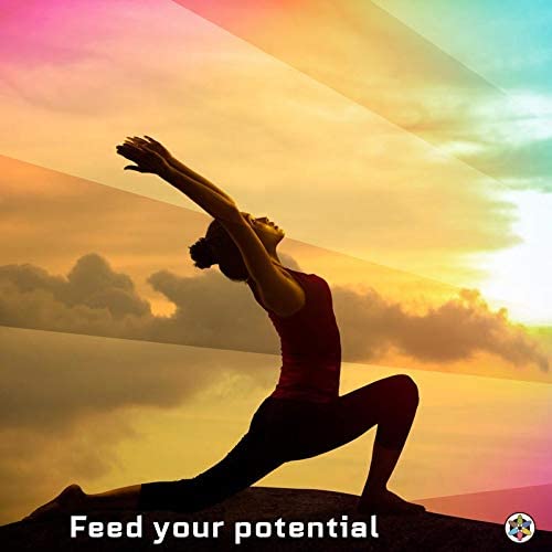 image for Medicinal Foods, LLC. Medicinal Foods Chi Tonic for Energy and Vitalit