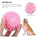 INOOMP 5pcs Round Pet Toy for Puppies Chew and Teething Toy Interactive Dog Molar for Dogs Fun and Engaging Pet Playtime Accessory