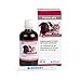 Hund und günstig Kaufen-PULMO ALFA Ergänzungsfutterm.flüss.f.Hunde/Katzen 100 ml