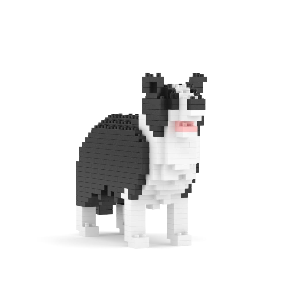JEKCA Border Collie Mini 01S, Medium - Image 2